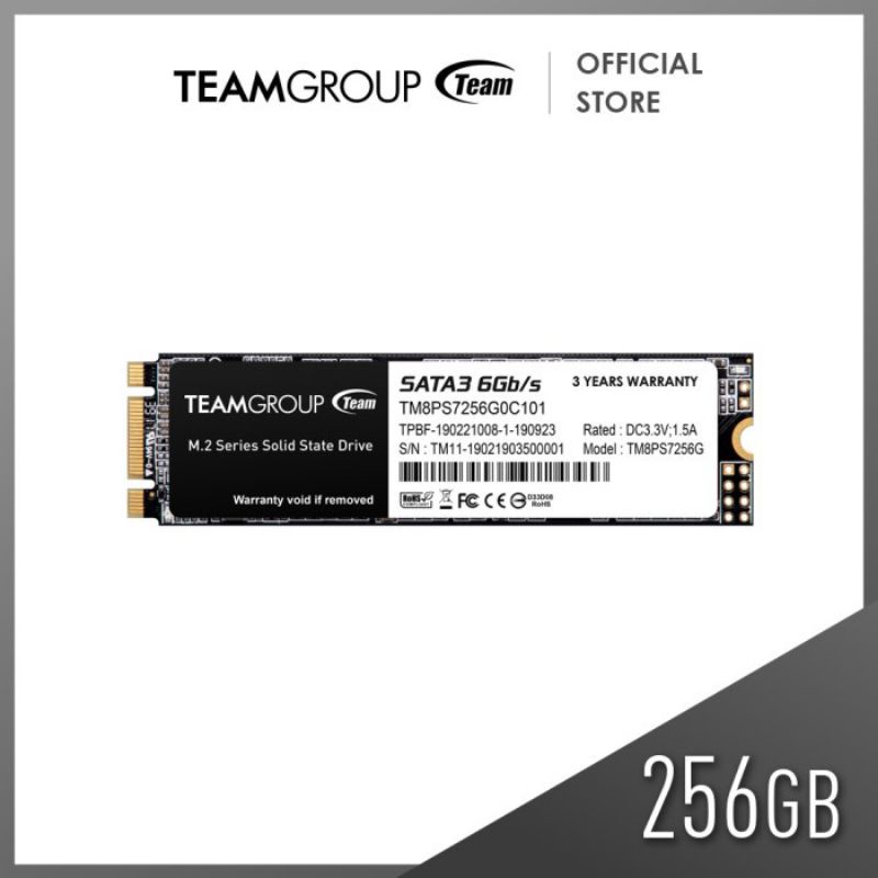 Team Group MS30 SSD 256GB M.2 2280 SATA III 6Gb/s