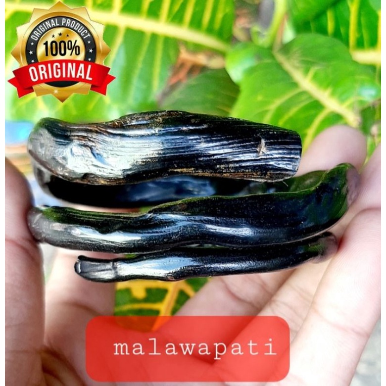 GELANG AKAR BAHAR HITAM LILIT TIGA SUPER NATURAL / GELANG AKAR BAHAR ASLI / GELANG KESEHATAN / AKAR 
