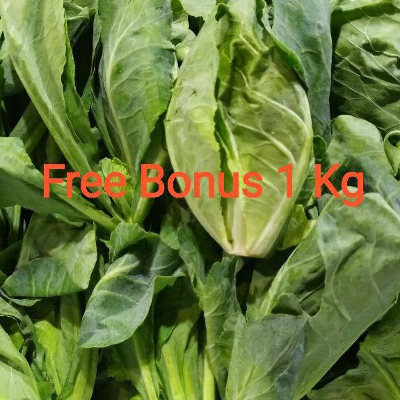 

Comeo Daun | Ceciwis 500 Gr + Gratis Bonus