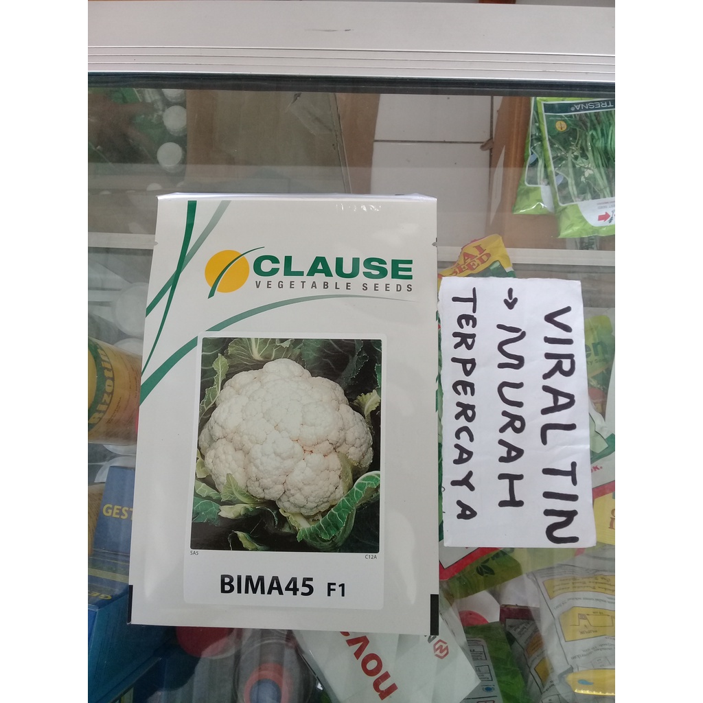 BENIH / BIBIT KEMBANG KOL F1 BIMA 45 ISI 10 GR