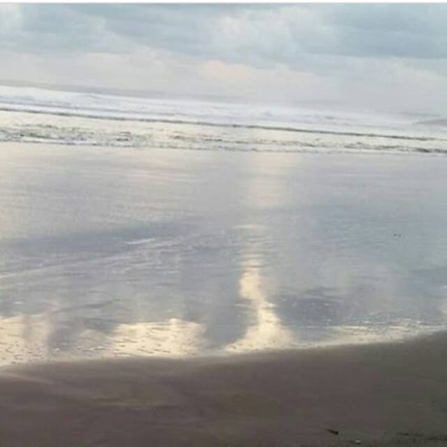 cita07061980