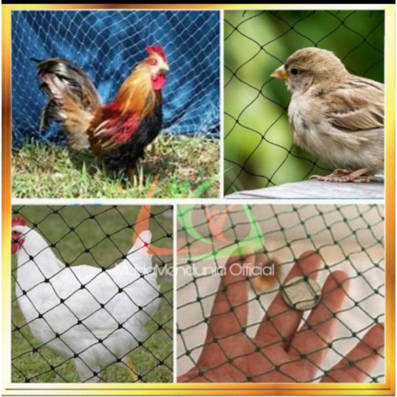 Jaring Pagar Ayam 1 meter/Jaring Size Lubang 2 inch /Jaring Kandang /Jaring Burung / Jaring Taman / 