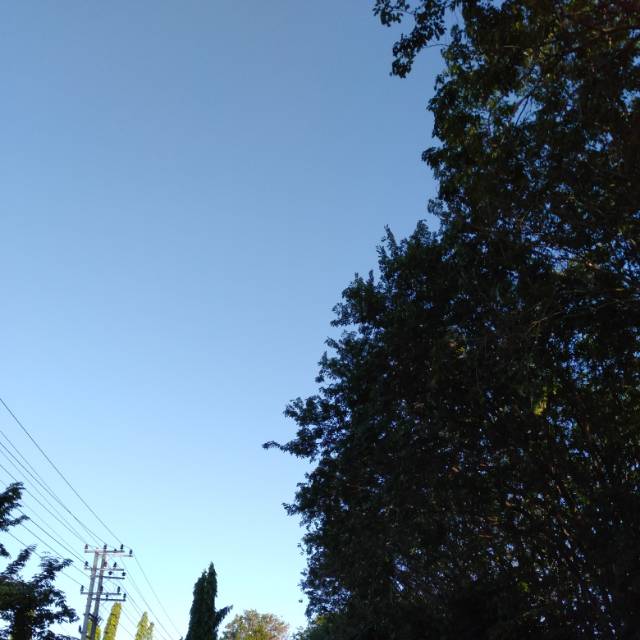 agustintriawulandari