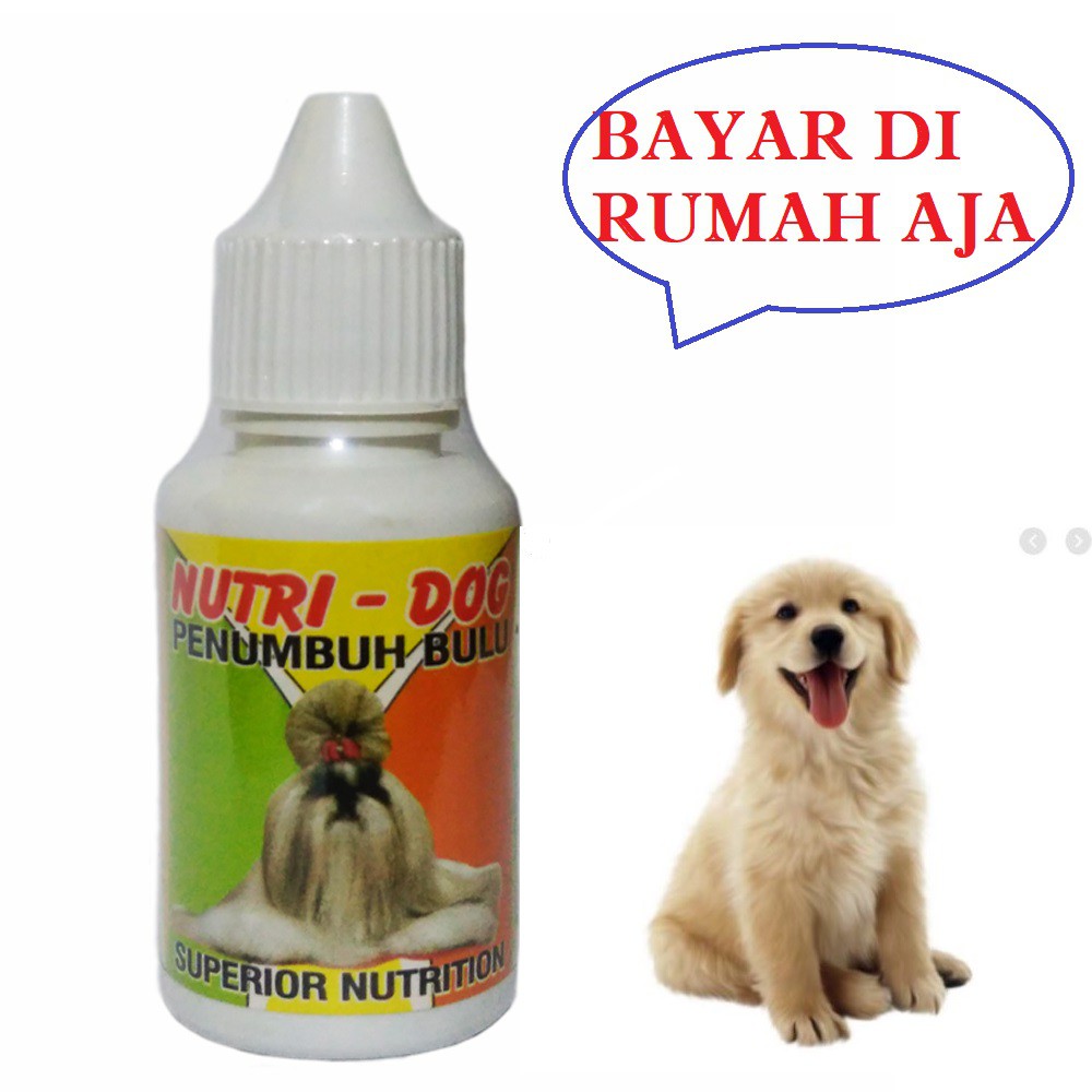 NUTRI DOG VITAMIN BULU ANJING RONTOK CEPAT TUMBUH BULU AMPUH