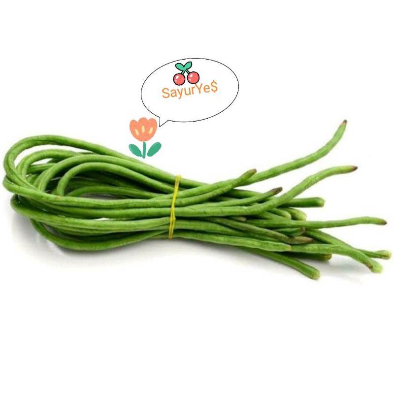 

KACANG PANJANG 250GR-500GR LONG BEAN