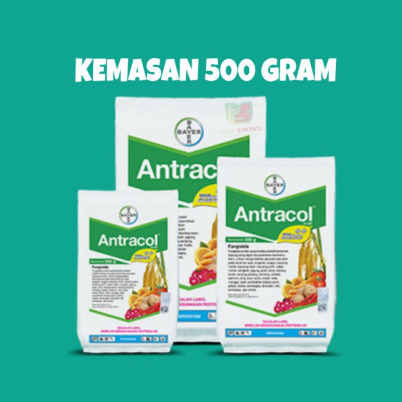 Jual Fungisida Antracol Wp G Shopee Indonesia