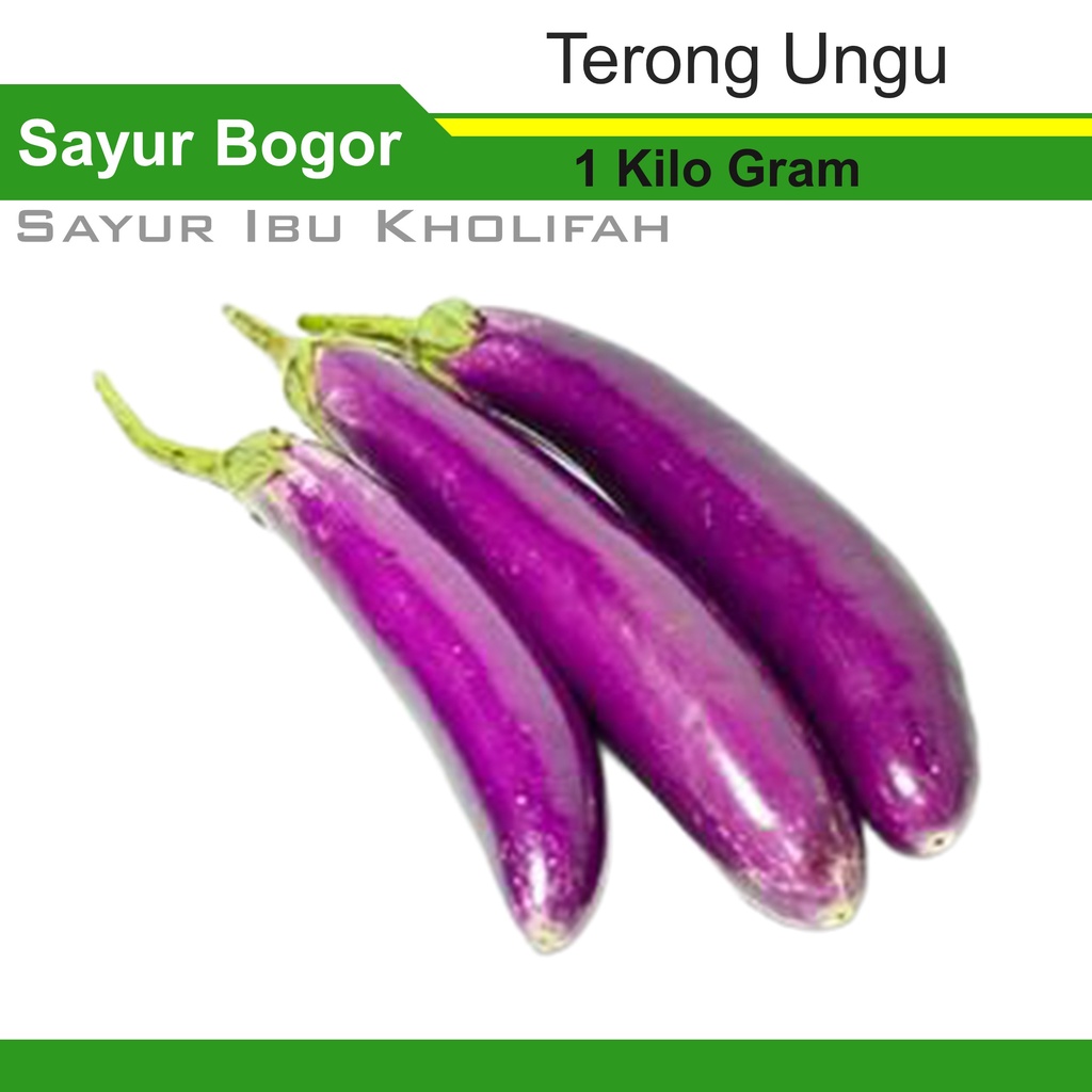 

Terong Ungu 1Kg Sayur Segar Bogor