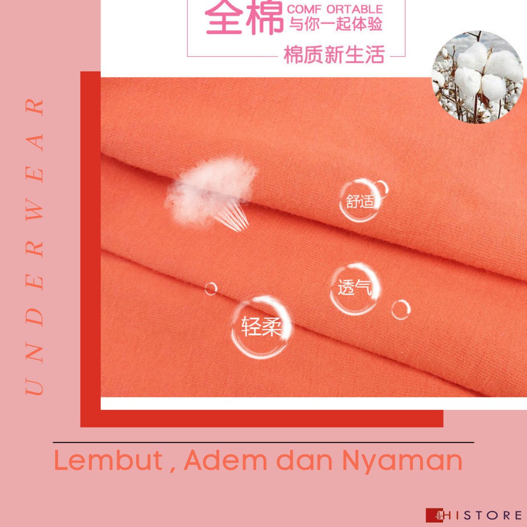 [HI]CELANA DALAM UNDERWEAR UNDIES CD WANITA 27cm x 22cm Art 2077