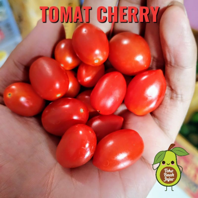 

TOMAT CHERRY ORGANIK