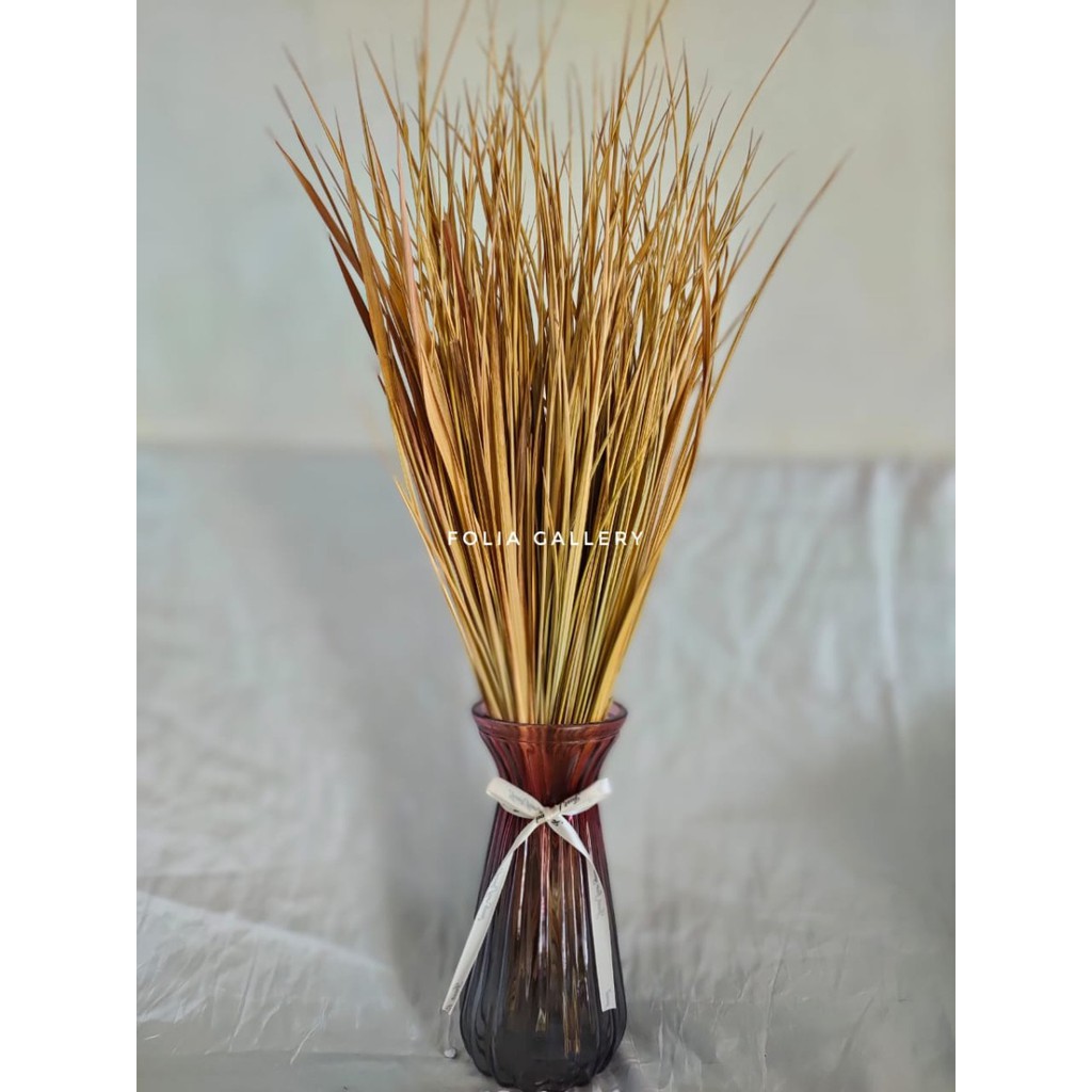 DAUN ILALANG KERING/DAUN RUMPUT ALANG ALANG - BUNGAKERING 250 gram