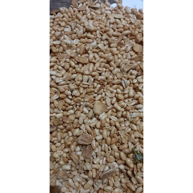 

KACANG BAWANG RENYAH DAN GURIH DENGAN AROMA BAWANG PUTIH DIGORENG DADAKAN