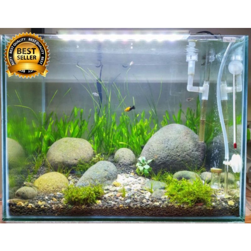 aquascape tema natural dasar kali fullset