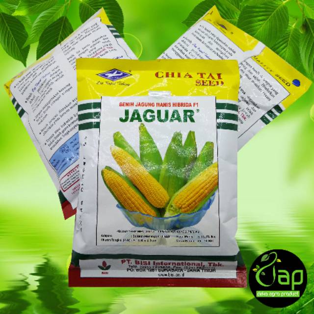 BIBIT BENIH JAGUNG MANIS HIBRIDA F1 JAGUAR 250GR