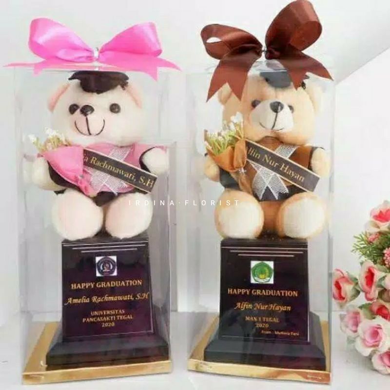 Piala boneka wisuda custom / PILBON || ANTI AIR TAHAN LAMA Trophy Boneka hadiah wisuda hari guru ula