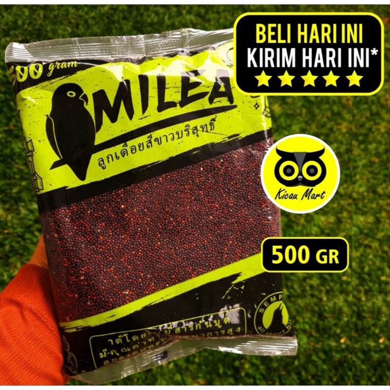 Biji sawi pakan burung kenari lovebird perkutut dll