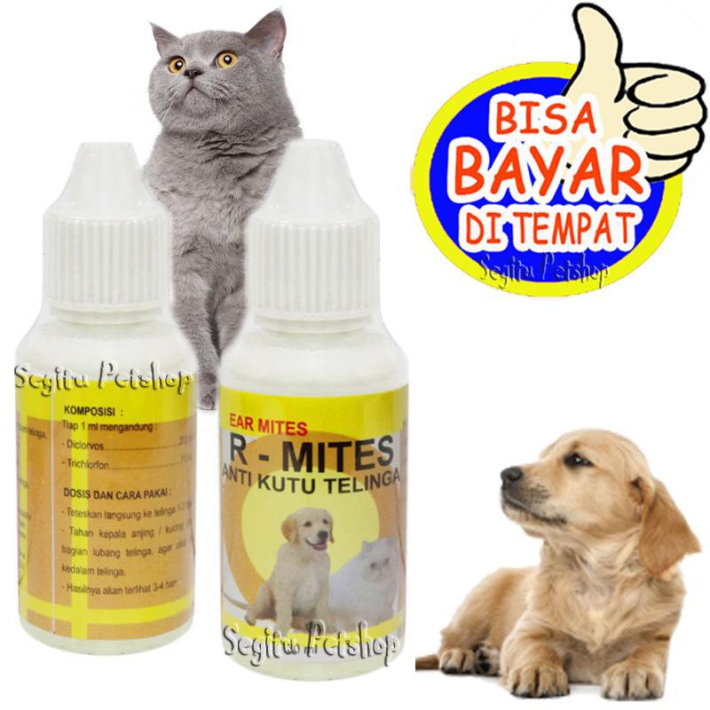 OBAT KUTU TELINGA KUCING R MITES KUCING SAKIT TELINGA BENGKAK BERAIR