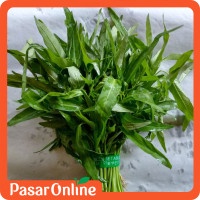 

Kangkung Segar