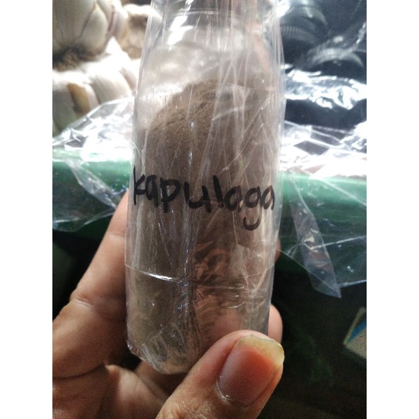

kapulaga bubuk asli