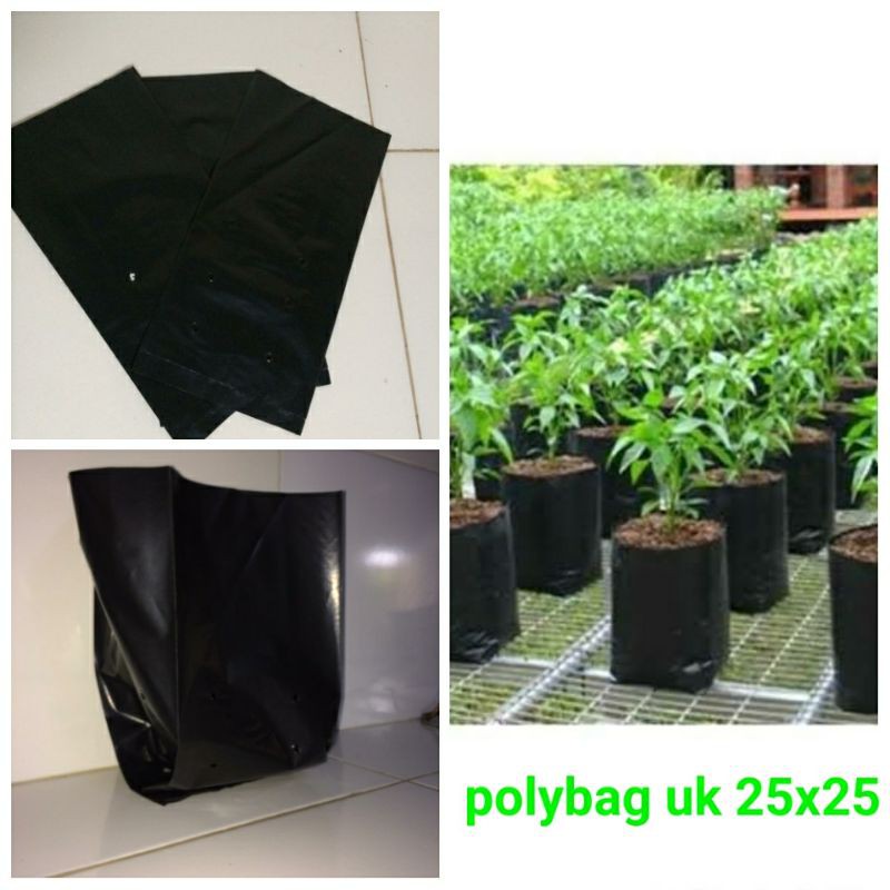 Polybag ukuran 25 x 25 media tanam berbagai tanaman