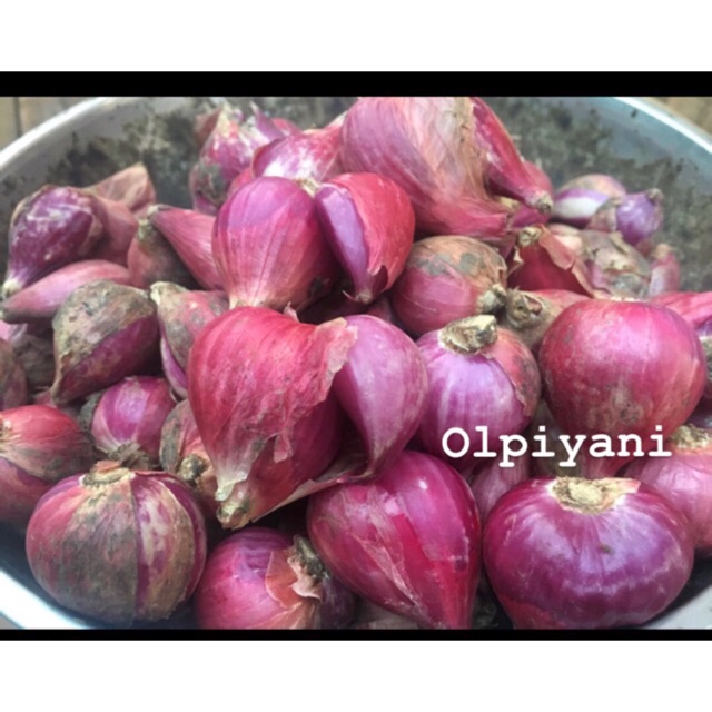 Bawang merah besar 500gra