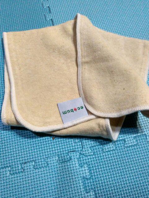 Insert Ecobum Hemp, Birdy, Bamboo Dan Microfiber