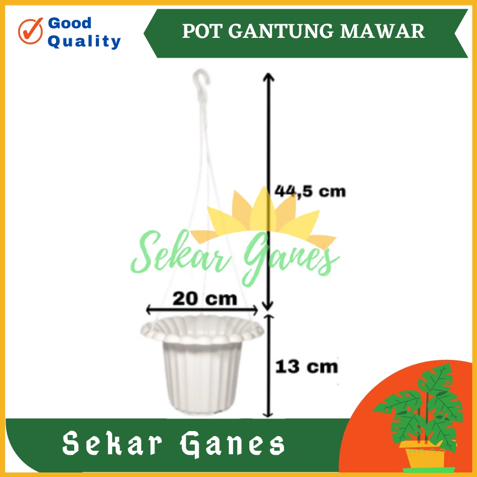 POT GANTUNG MAWAR PARIS 20 CM PUTIH - POT GANTUNG HIAS BUNGA LILI PARIS PEPEROMIA GERANIUM MURAH