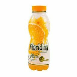 

FLORIDINA Orange botol 350 ml