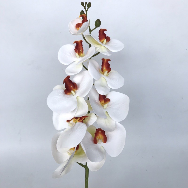 ANGGREK LATEX ORCHID X1 panjang 1 meter -  bunga plastik artificial home decor shabby chic-Putih putik merah