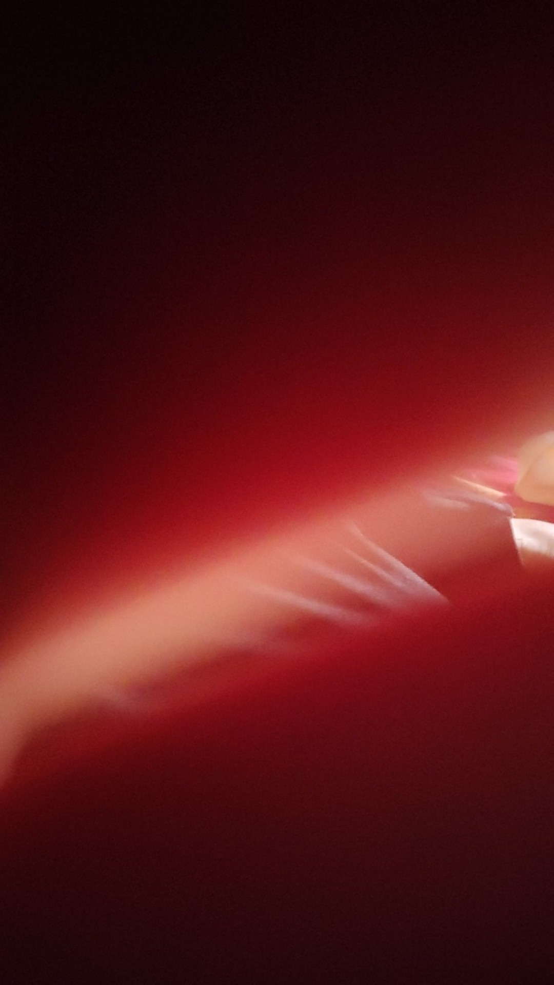 Paketan Seduh Kopi Suji V60 Plastic Dripper Penuang Kopi Size 01 Black