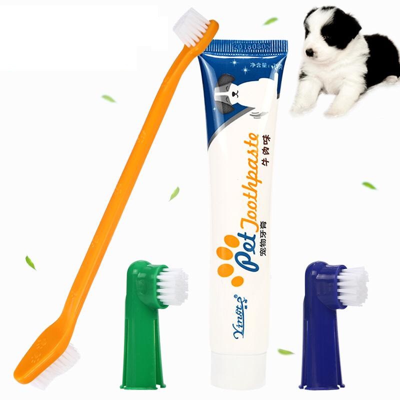 PH.Medan Pet ODOL / toothpaste sikat gigi anjing kucing pasta gigi anjing kucing