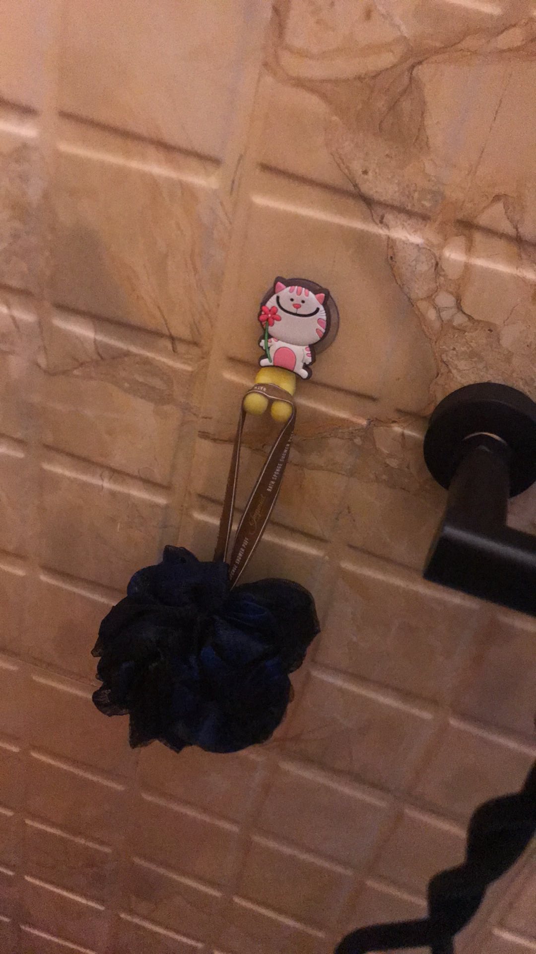 At-202 Tempat Sikat Gigi Anak Dan Dewasa Motif Lucu / Gantungan Sikat Gigi Dinding Kaca Kamar Mandi