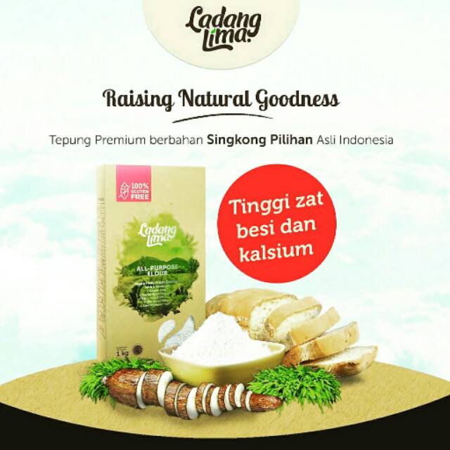 

Tepung Bebas Gluten Serbaguna - All purpose gluten free flour