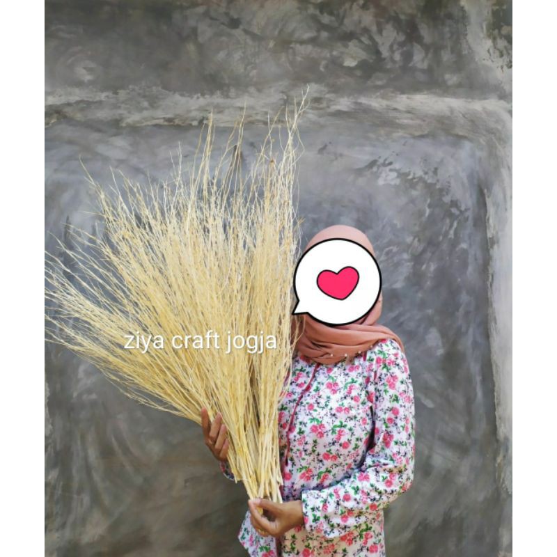Ranting Hias Ranting Kering