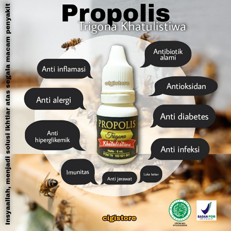 

Propolis Trigona Khatulistiwa/ Propolis Trigona Original/ Propolis dari Lebah Trigona Kemasan 6 ml