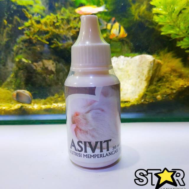 Nutrisi pelancar asi induk kucing asivit