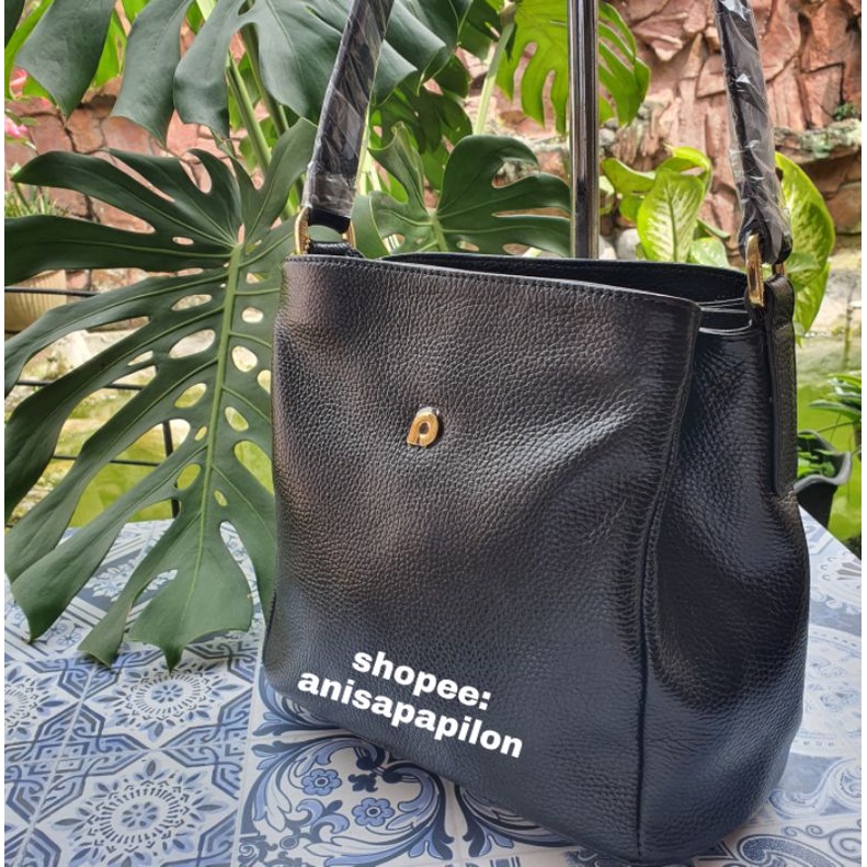 papillon papilon k3277