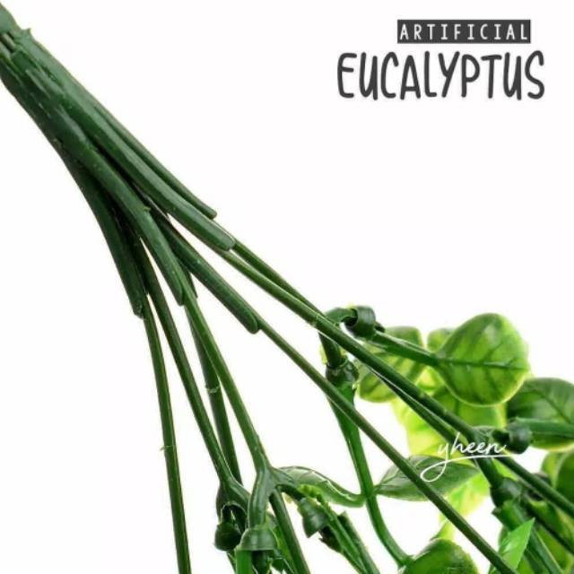 Artificial Eucalyptus / Daun Eucalyptus (belum termasuk vas)