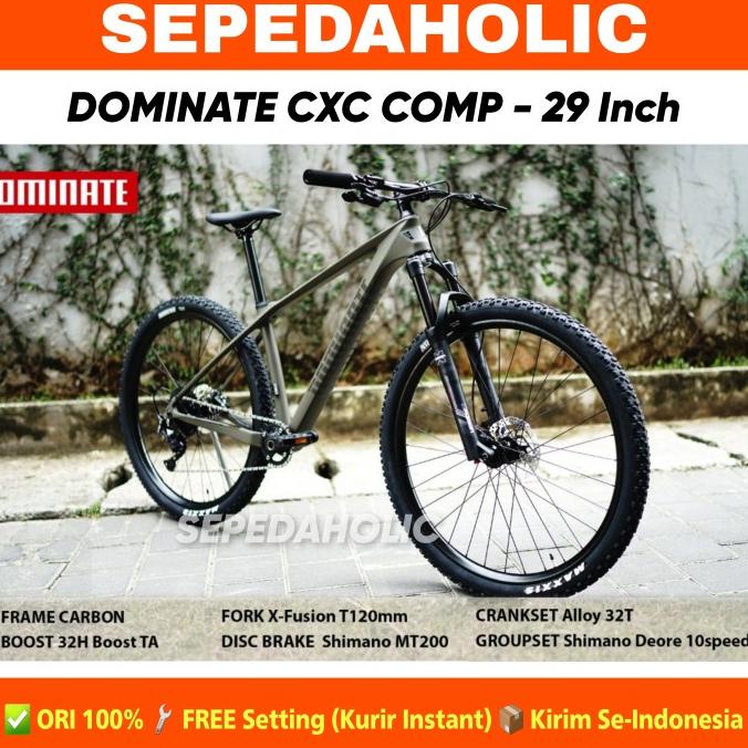 SEPEDA GUNUNG MTB DOMINATE CXC COMP 29 INCH CARBON 10 SPEED HIDROLIK FDGDF34545
