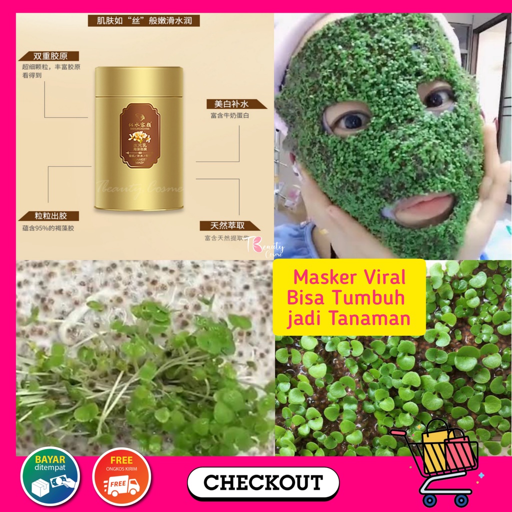 [30gr FREE SPATULA]PEARL CLAY MASK SEAWEED WHITENING INSTAN/MASKER SUSU VIRAL TIKTOK/MASKER RUMPUT L