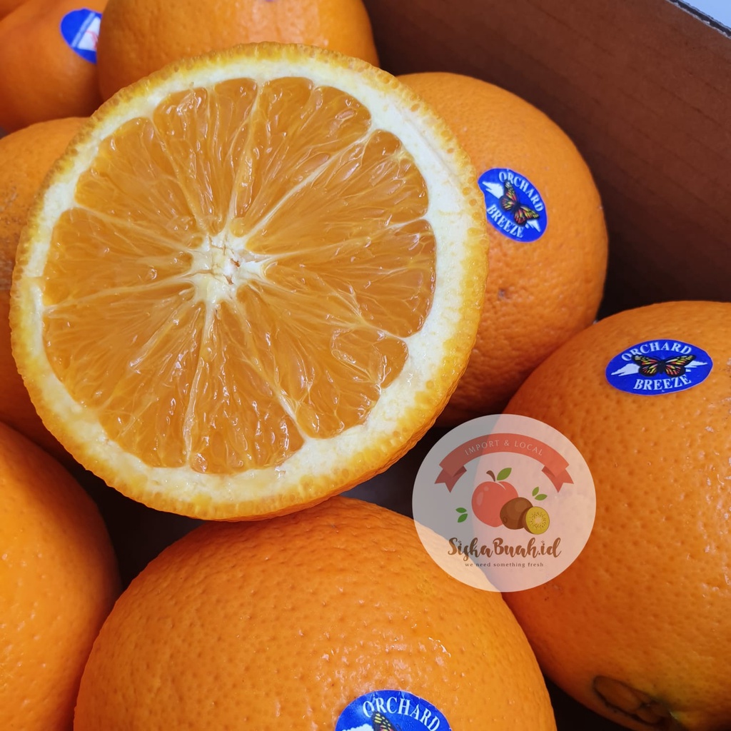 

SUNKIST NAVEL AUSTRALIA (DAGING KUNING) - FRESH IMPORT