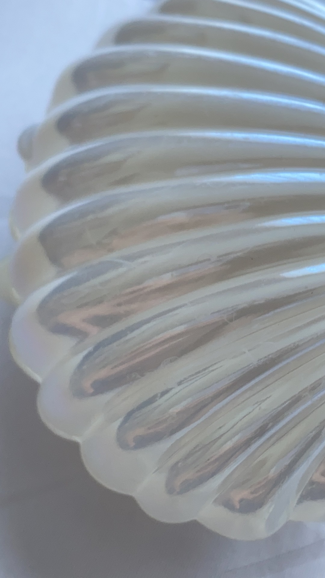 (iffarmerrtu) Kotak Penyimpanan / Organizer Perhiasan / Cincin / Kalung / Anting Bentuk Kerang