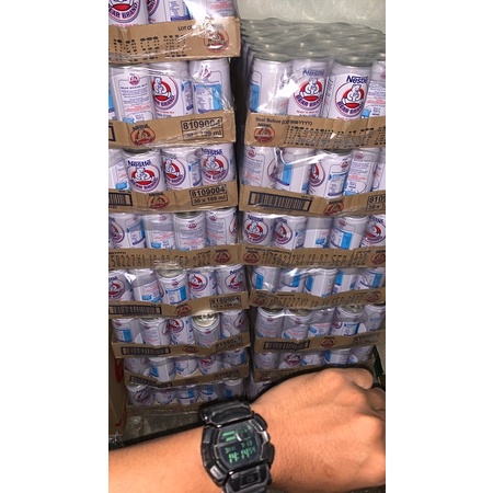 

susu beruang bearbrand