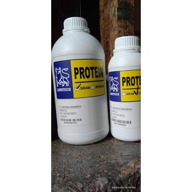 lamitech nutrisi tauge