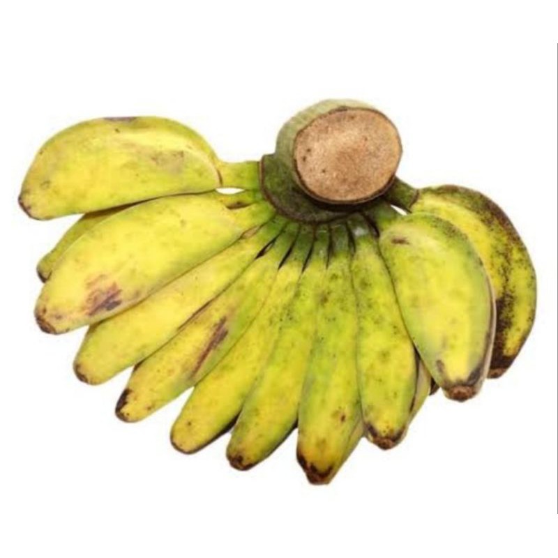 

Pisang Kepok per sisir