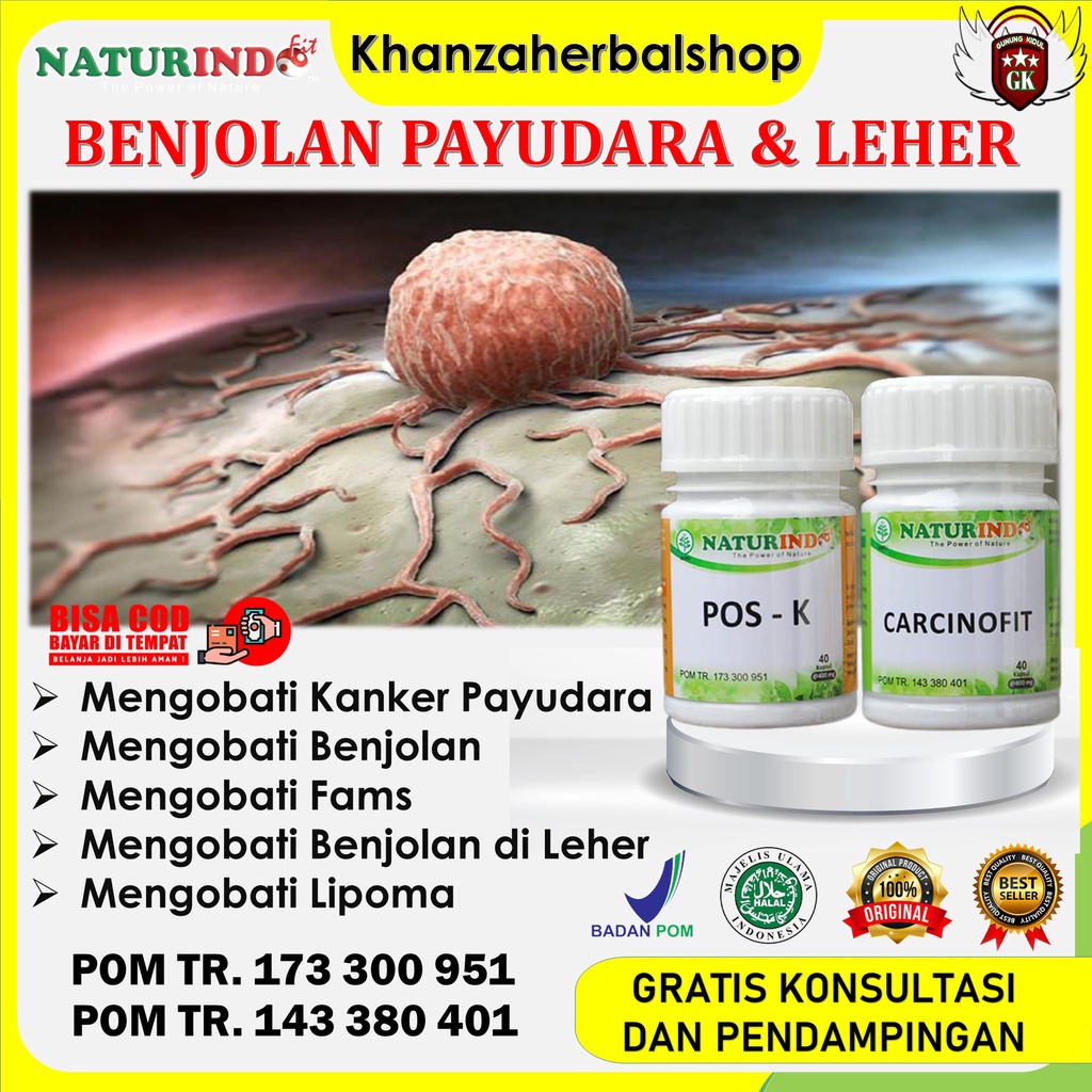 Jual Obat Benjolan Payudara Benjolan Di Leher Obat Kelenjar Getah ...