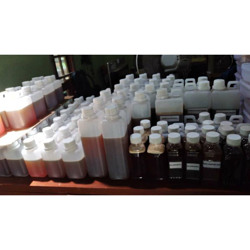 

MADU HITAM ( MADU PAHIT)