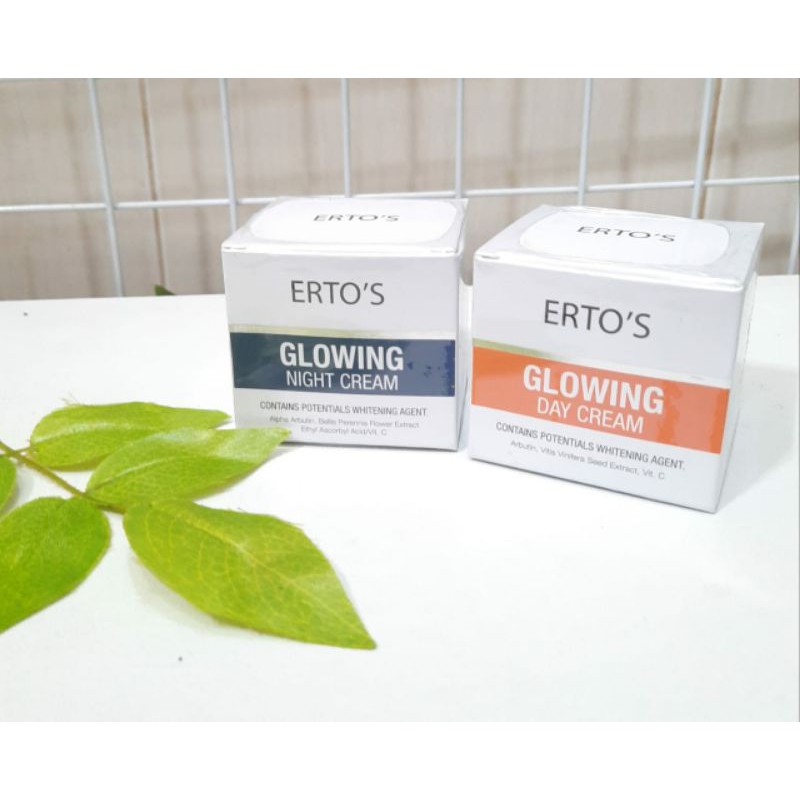 ERTOS GLOWING DAY NIGHT CREAM ERTO'S