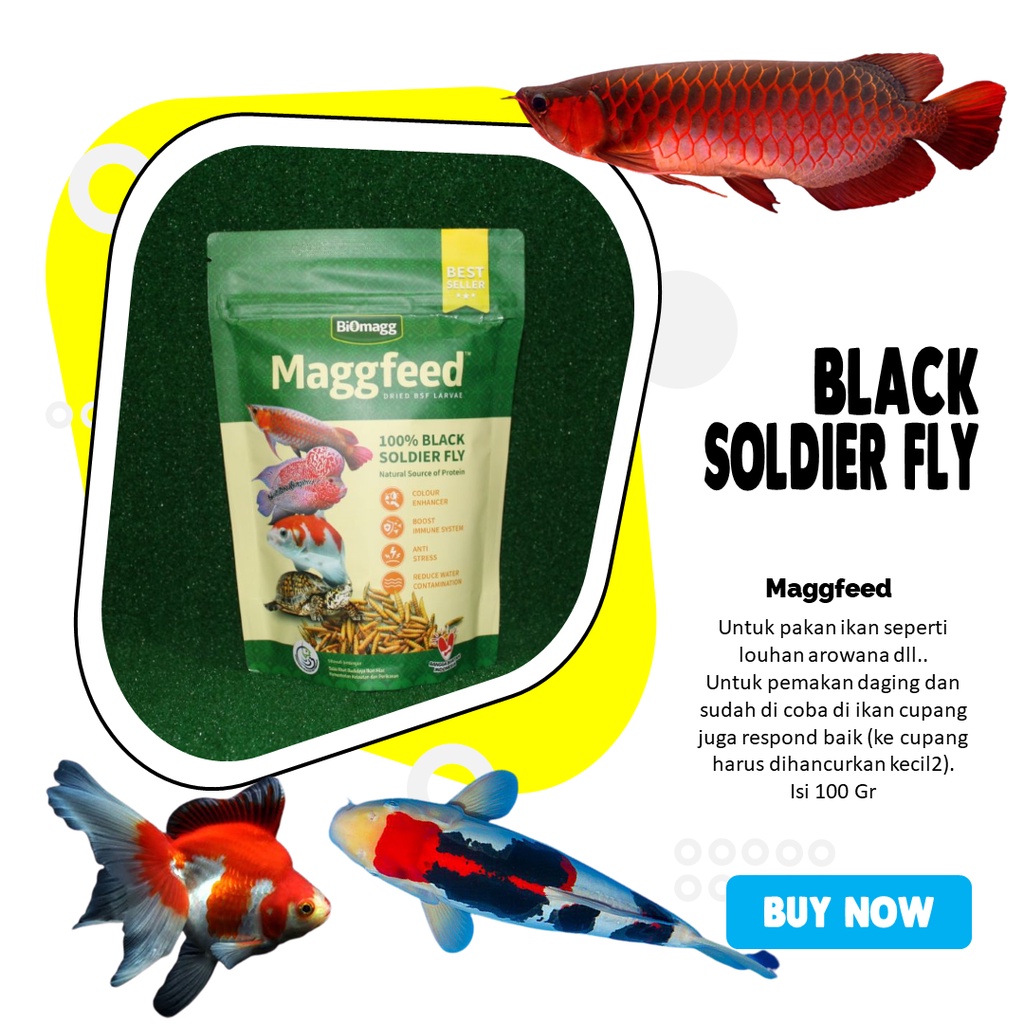Biomagg Maggfeed Maggot Magoot Magot BSF Ulat Hongkong Kering