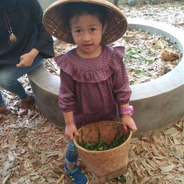 akilahrahma