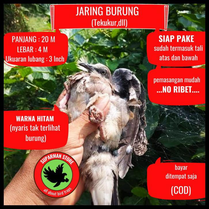 Jaring Burung Tekukur Jaring Burung Derkuku Jaring Burung Besar 3 Inch